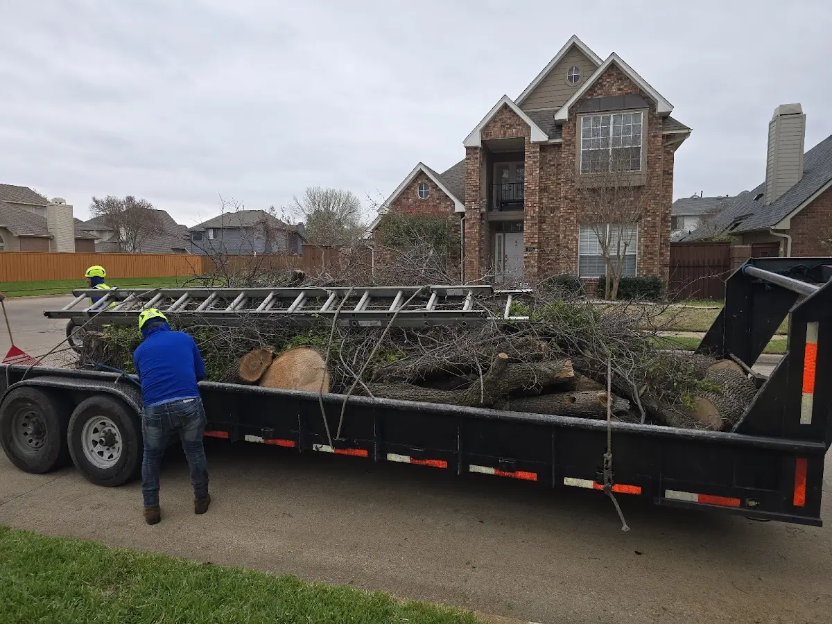 Expert Tree Removal with proper safety equipment in Cawood
